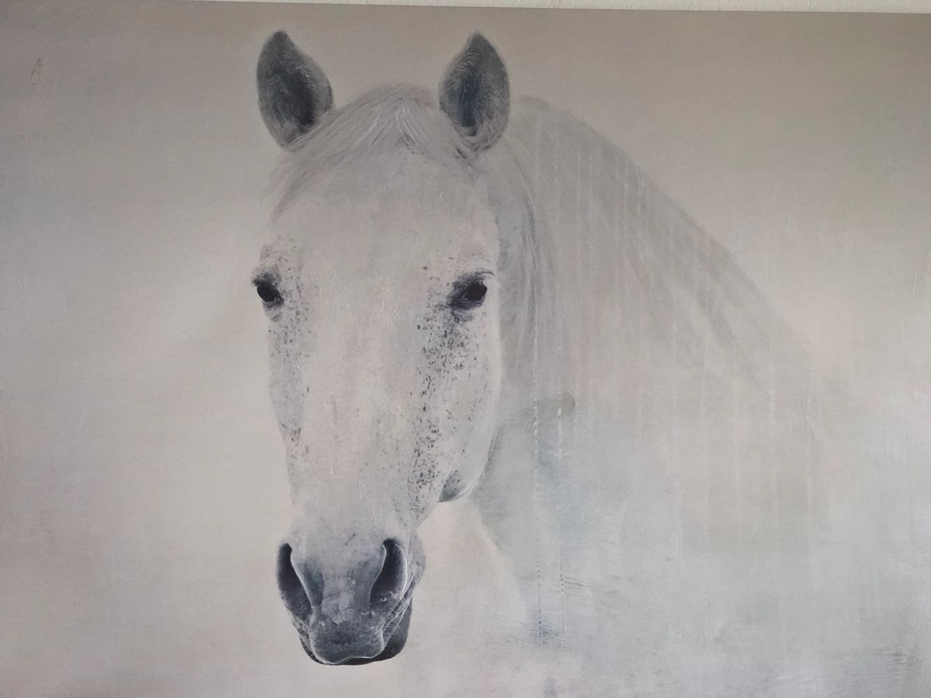 In Home Health Care White Horse Health and Wellness